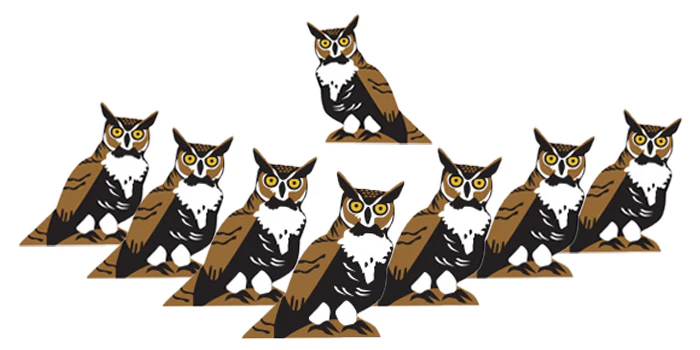 Wingspan: Player Bird Token Sets (Meeple Source) - Image 45